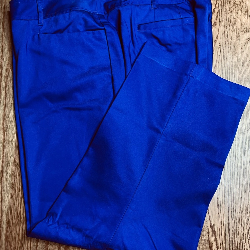 Lane Bryant Women's Navy Pants